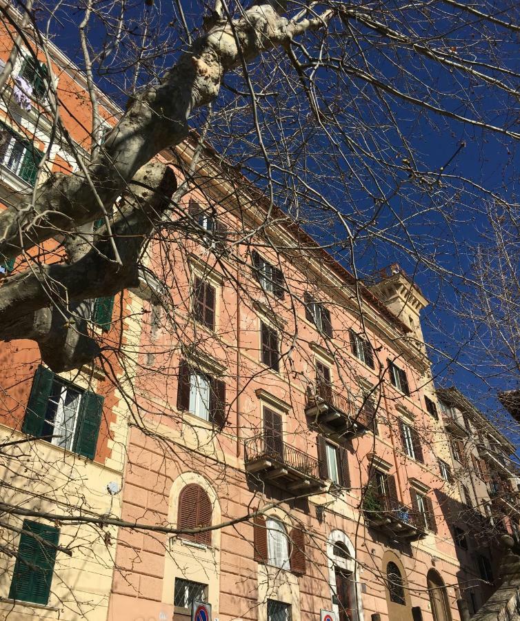 B&B Theodora Frascati Εξωτερικό φωτογραφία